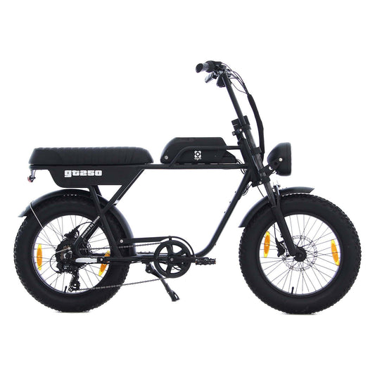 AGM GT250 Fatbike Zwart